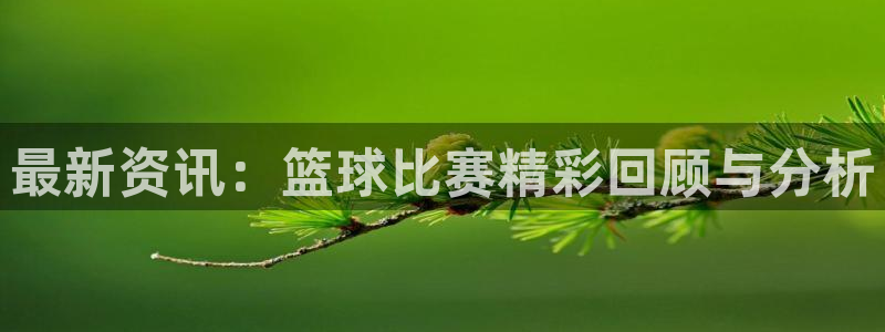 最新资讯：篮球比赛精彩回顾与分析