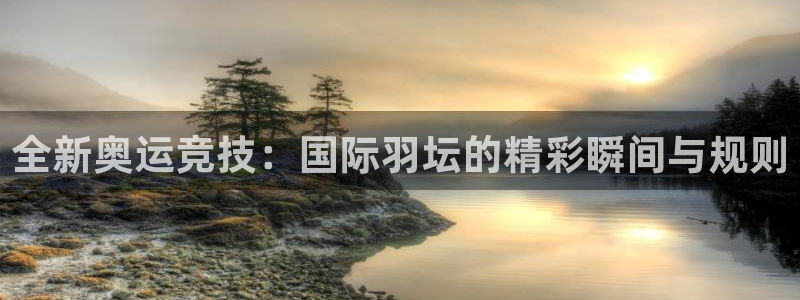 沙巴·体育官网入口：全新奥运竞技：国际羽坛的精彩瞬间与规则