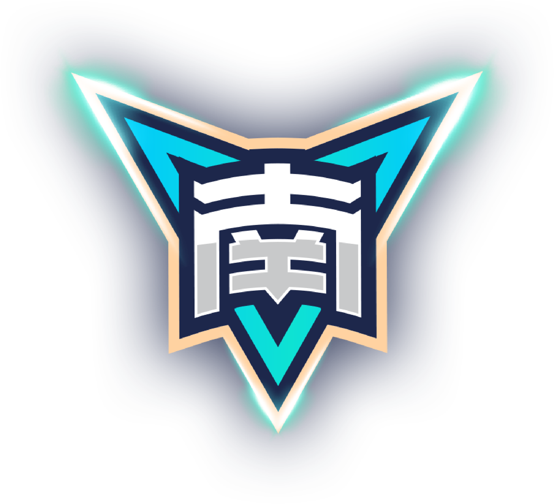 北京控股
